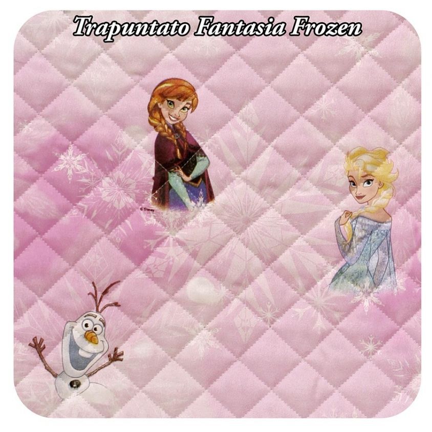 fantasia Frozen ,Elsa e Anna trapuntato